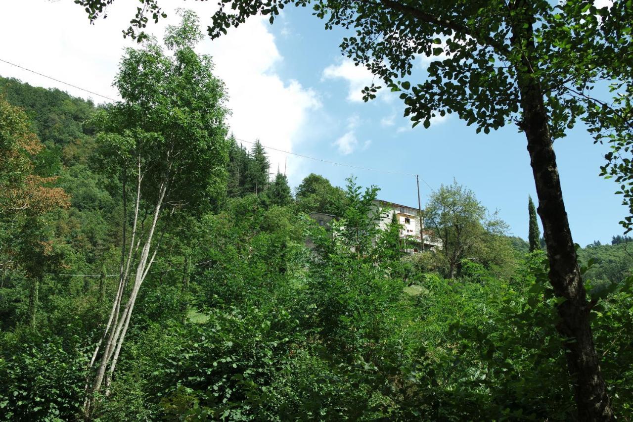 B&B Donnini Фиренцуола Экстерьер фото